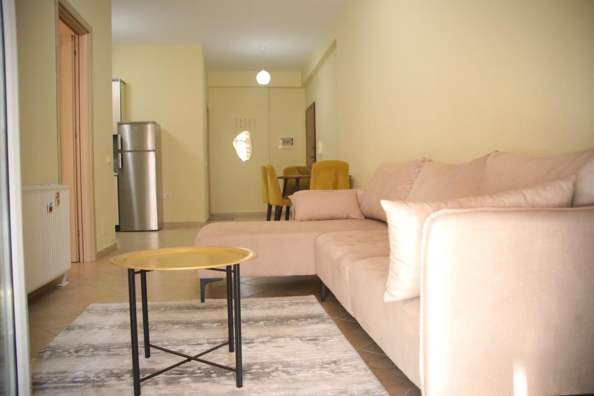 Pleasant Apartment With Free Dedicated Parking In Komuna E Parisit 地拉那 外观 照片